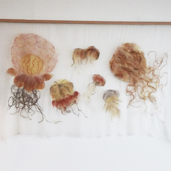 Jellyfish